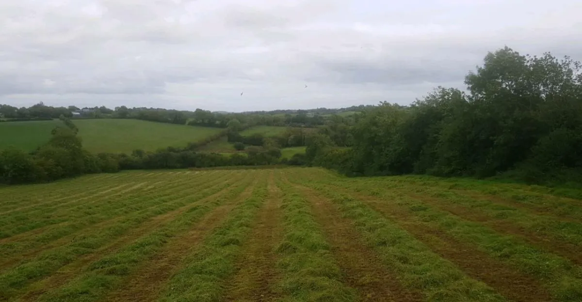 Keverneland - Image 3