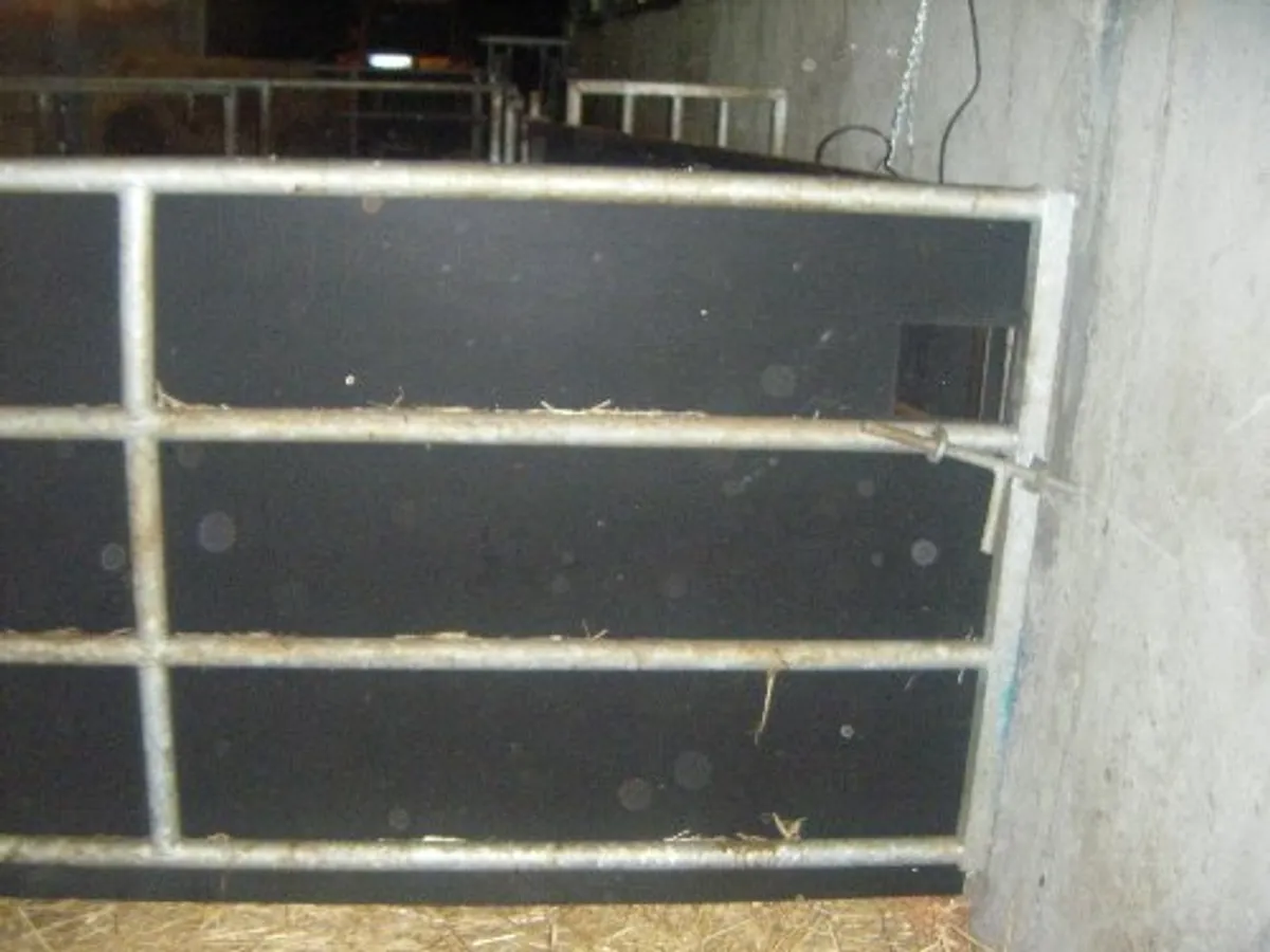 Stokbord - Image 2