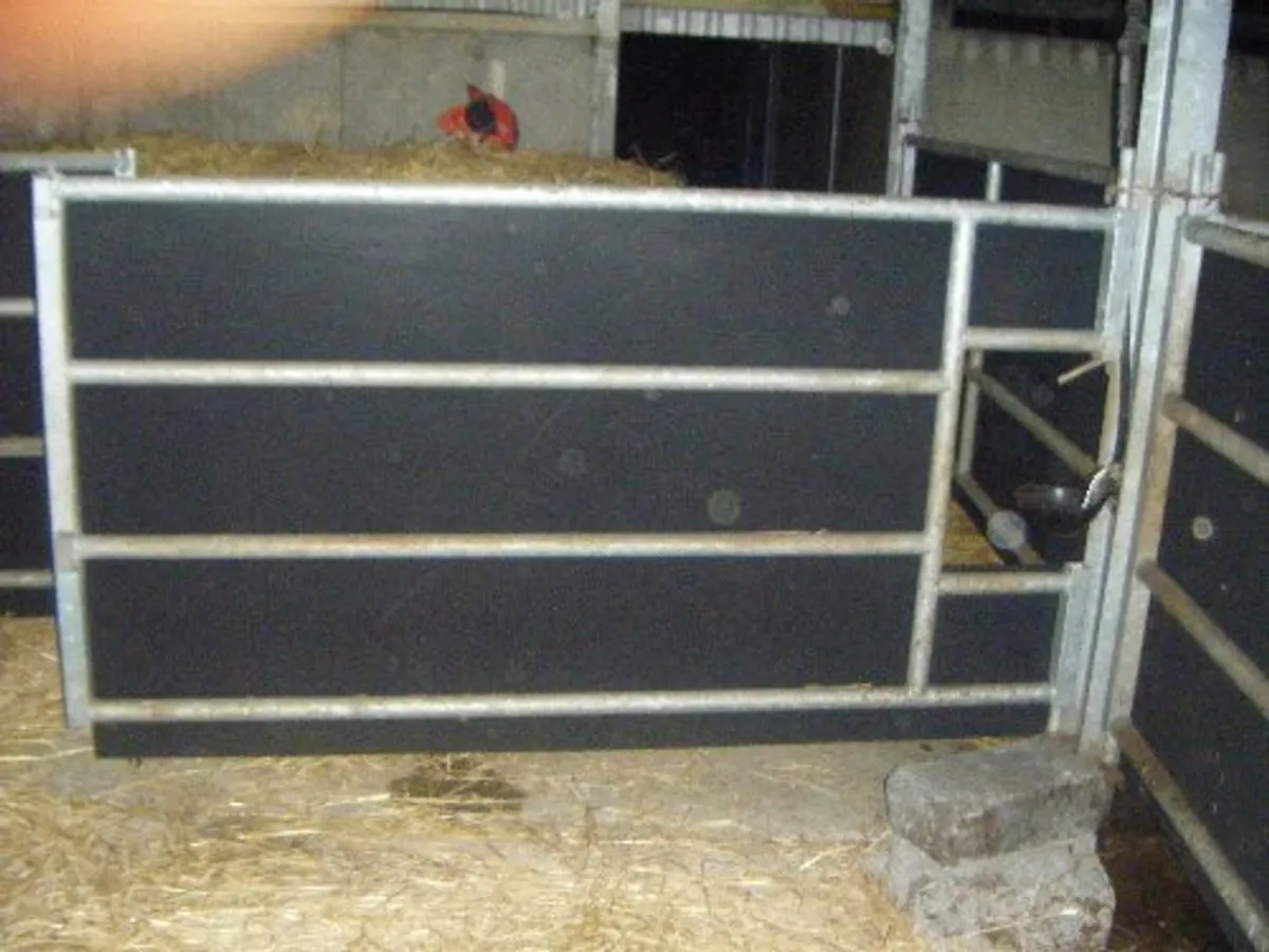Stokbord - Image 3