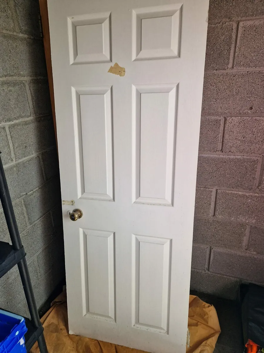 Internal wooden doors - Image 4