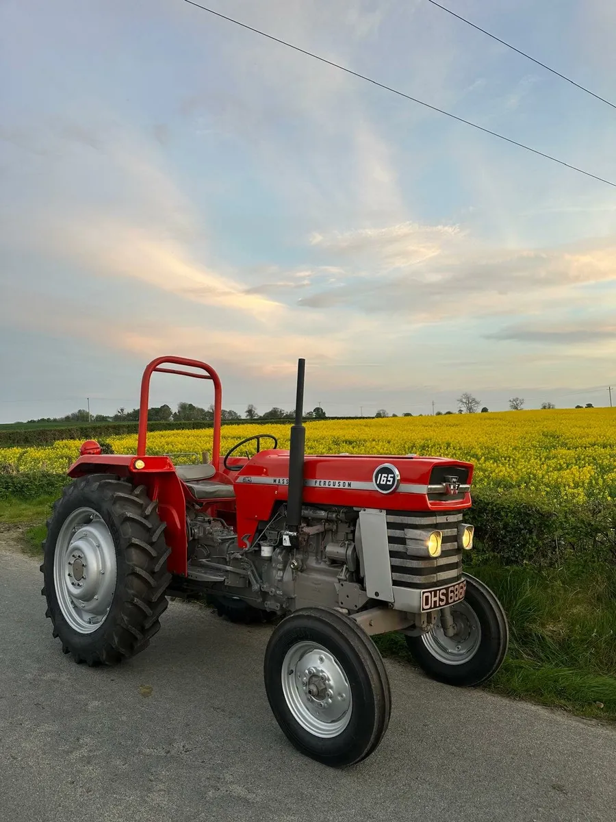 Massey ferguson 165 - Image 2