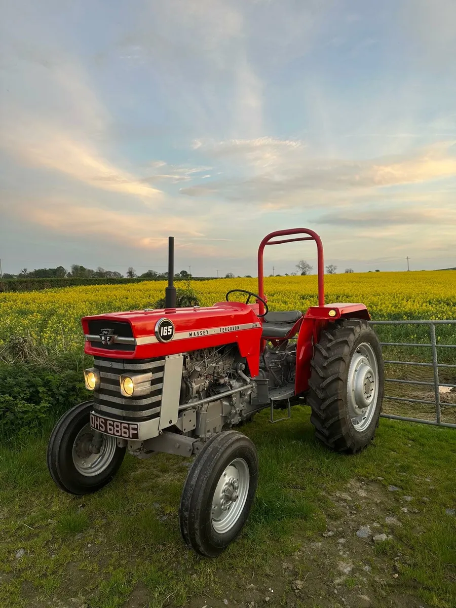 Massey ferguson 165 - Image 3