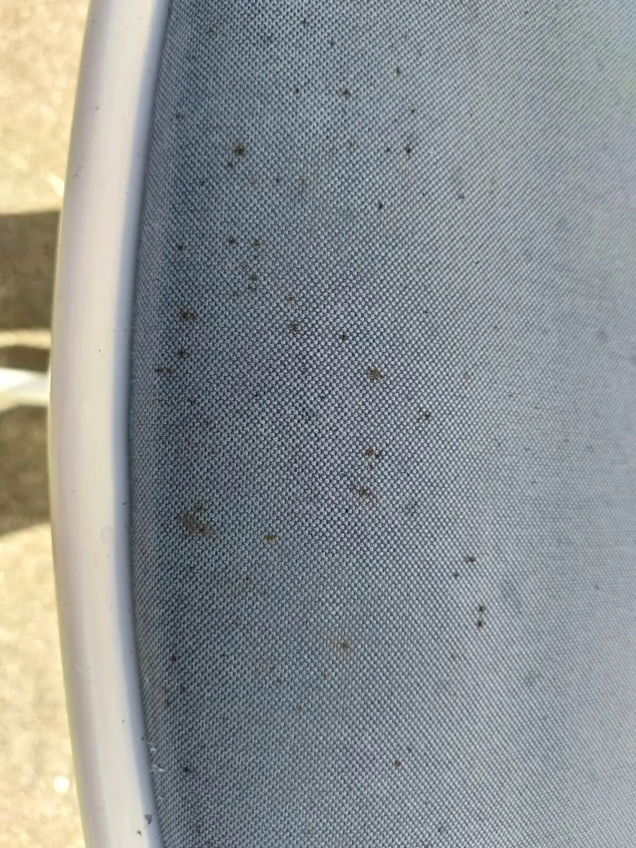 Office chair - Image 2