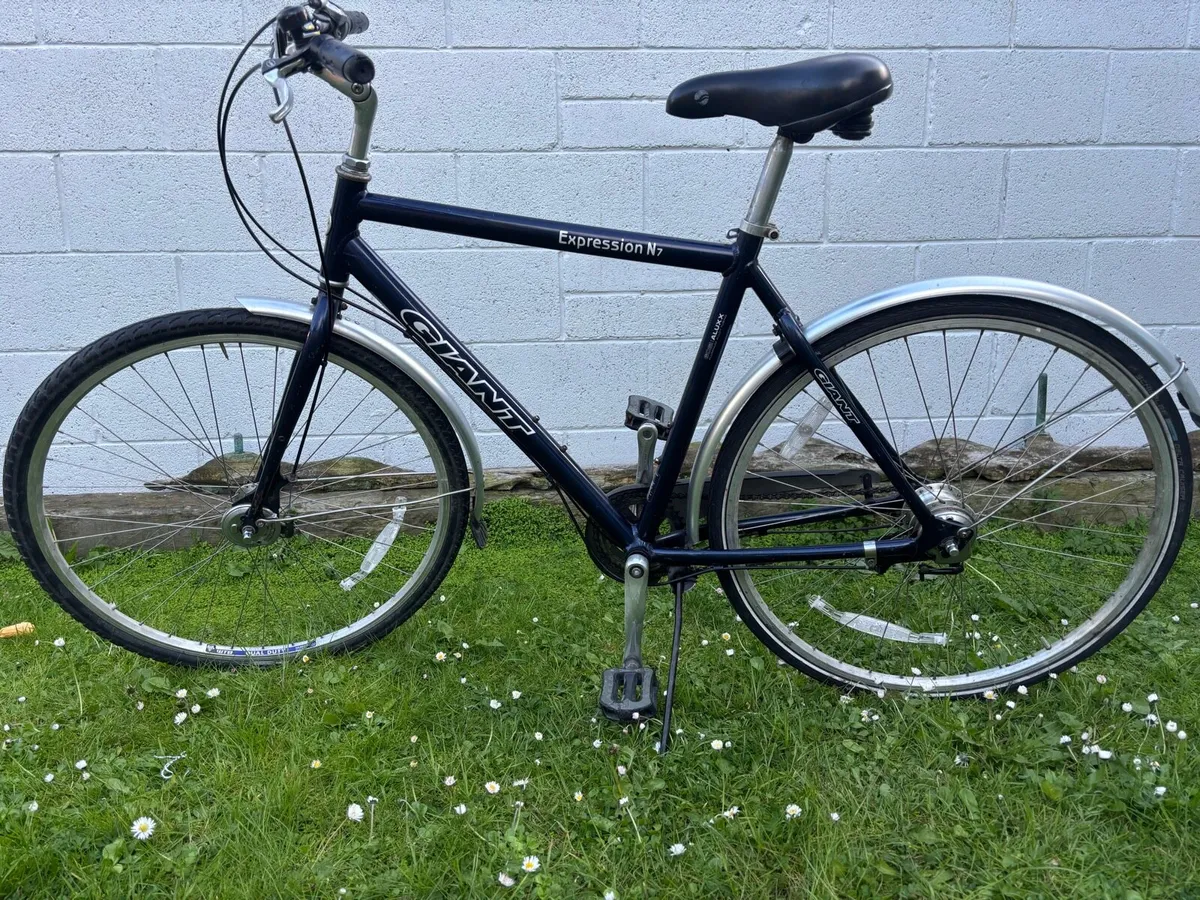 Bicycle - Image 1