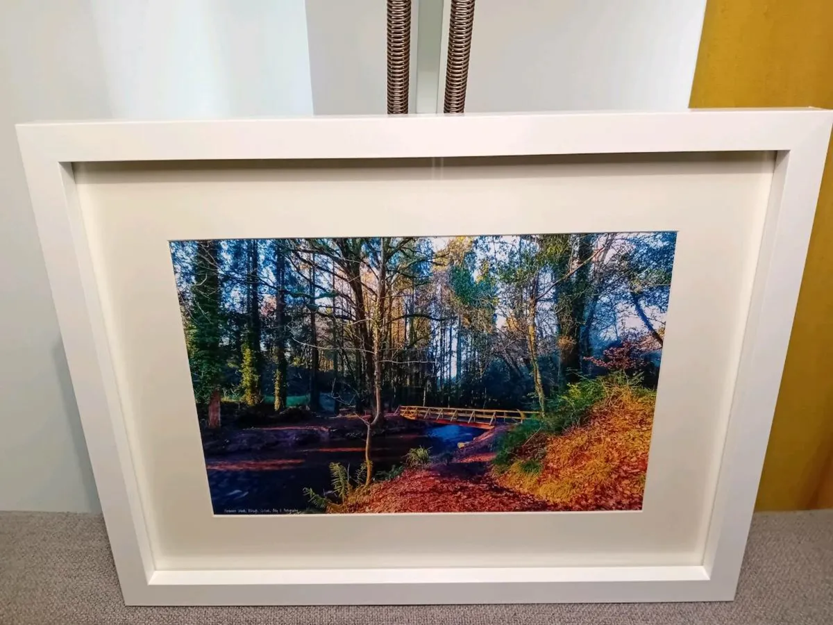 Glenbower Woods - Image 2