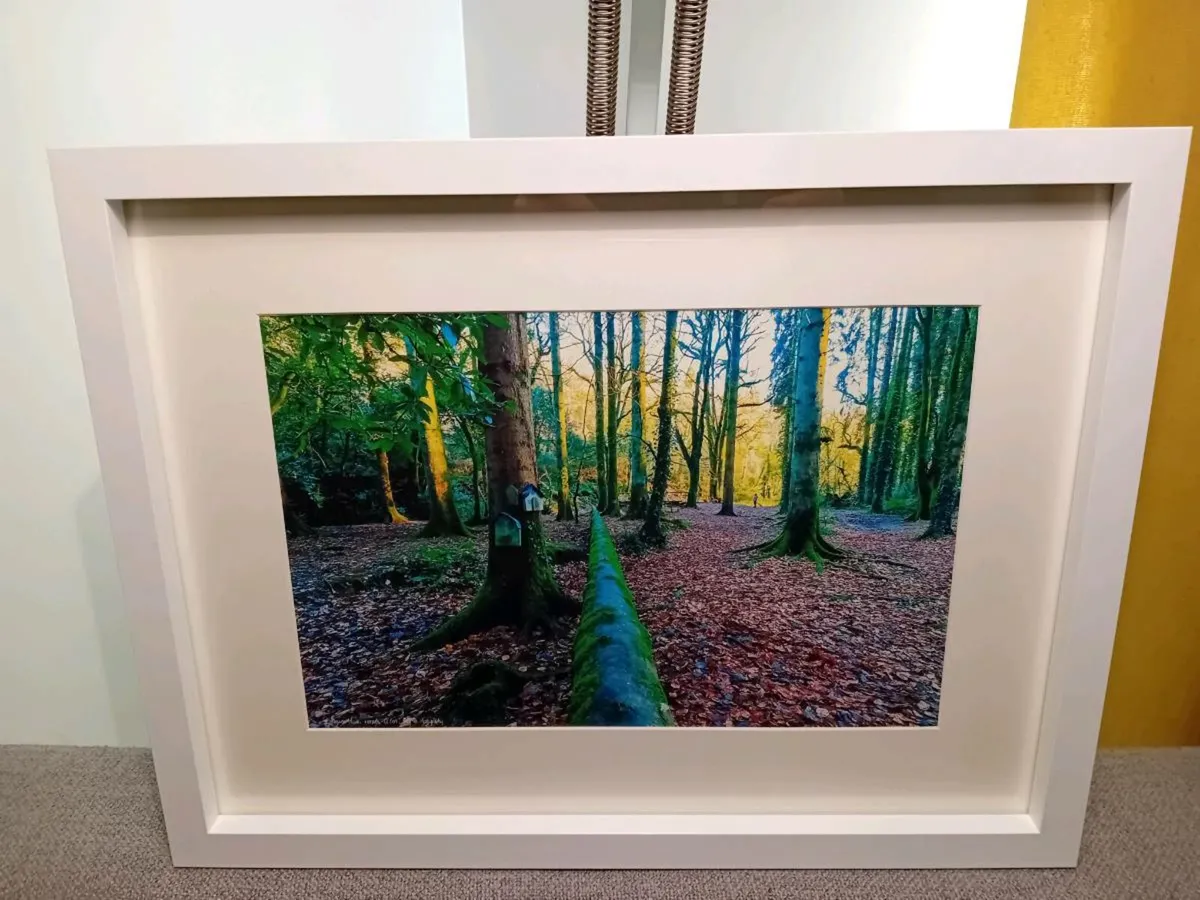 Glenbower Woods - Image 1