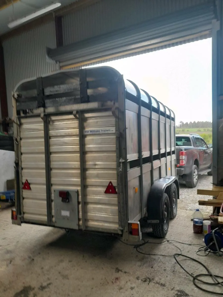 Ifor cattle trailer12by5 full refurbd trade taken - Image 1