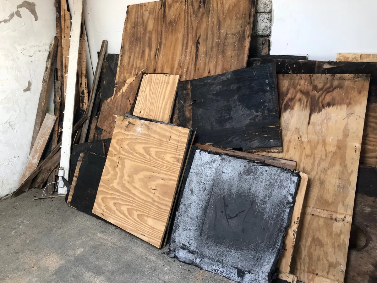Free timber must be collected asap - Image 3