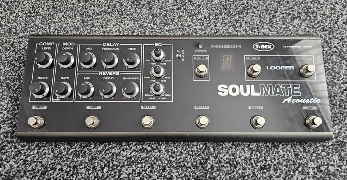 T-Rex Soul mate acoustic - Image 1