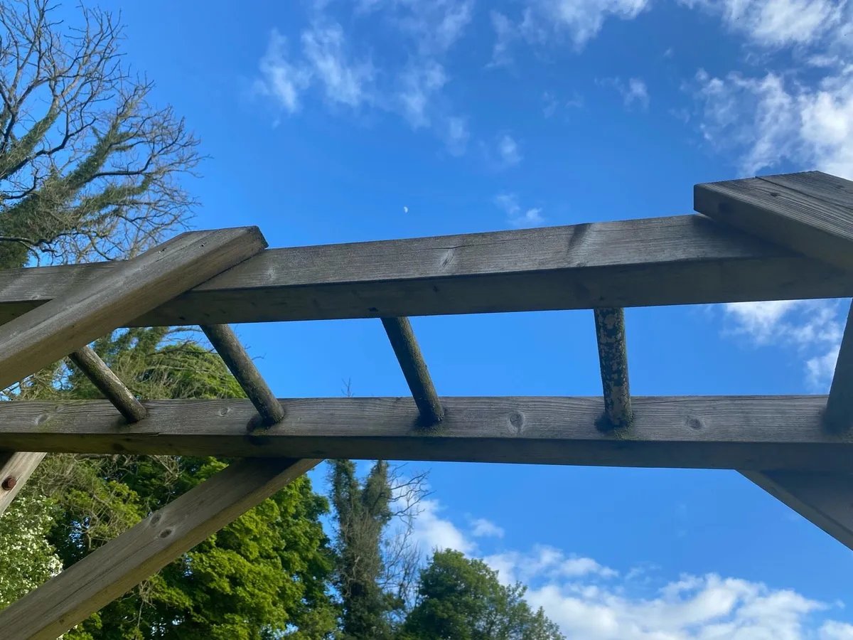 Climbing Frame/ Monkey Bars - Image 4