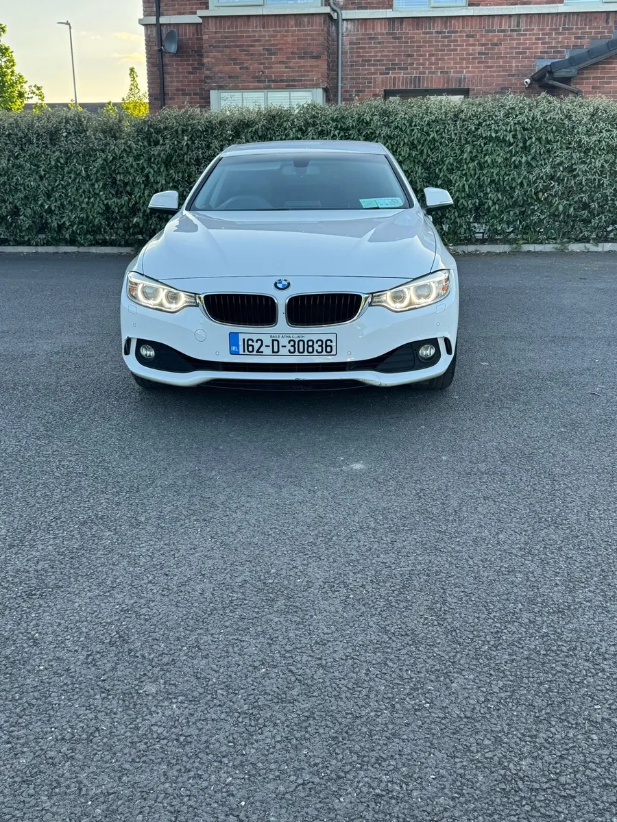 2016 BMW 4-Series 420I Manual - Image 3