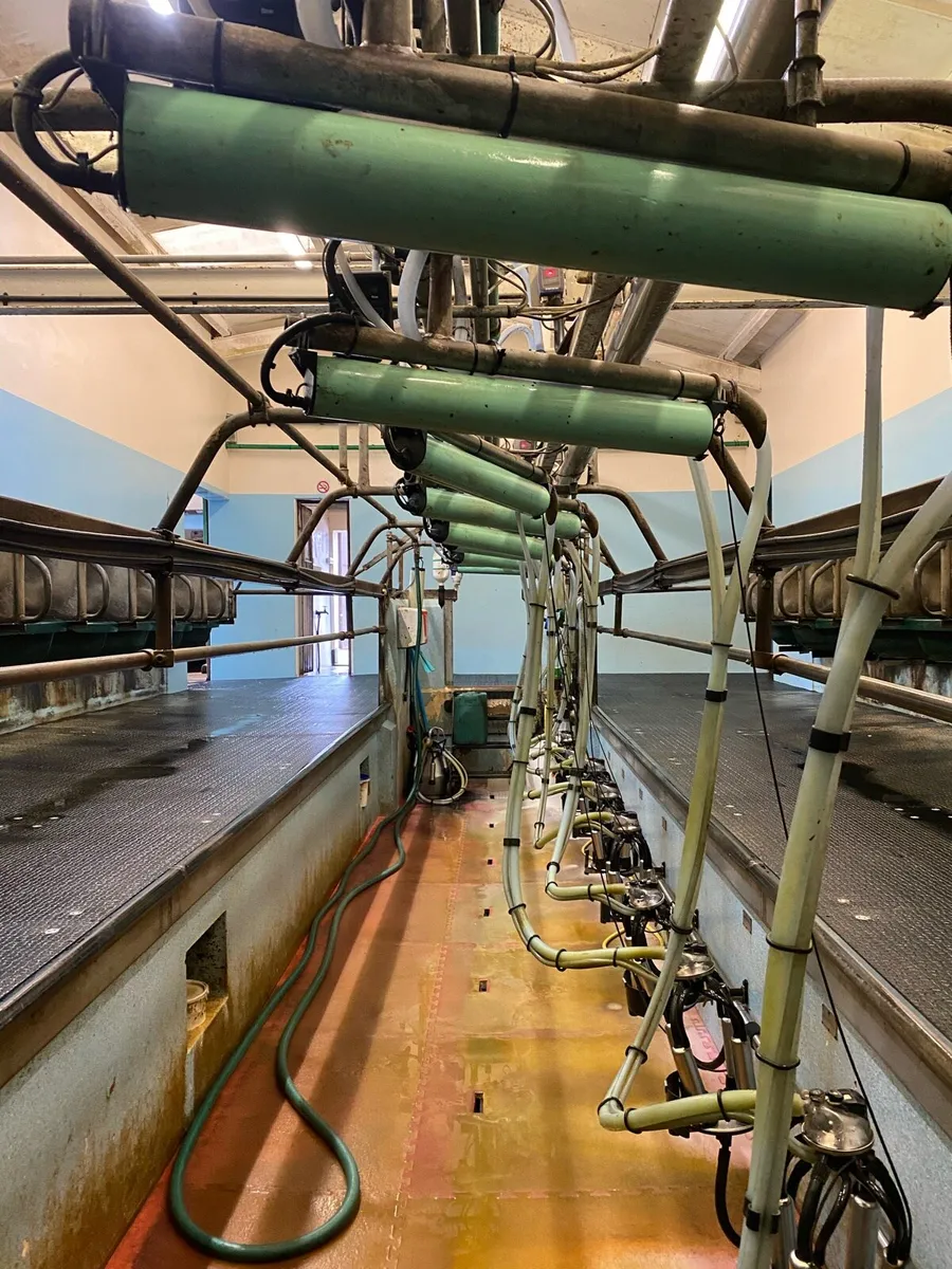 10:20 delaval/manus milking parlour - complete - Image 4