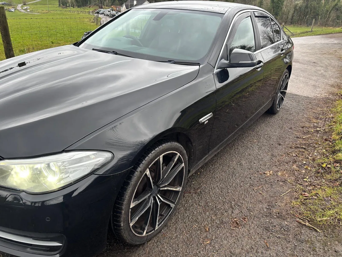 ‘14 BMW 520D 2.0 Se (LOW NOX) - Image 2
