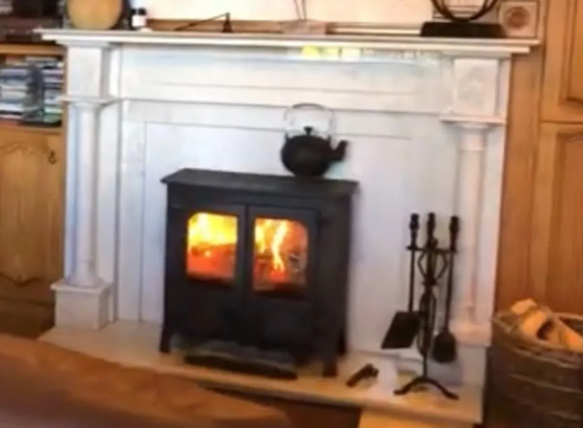 Marble Fire Surround and hearth - Image 1