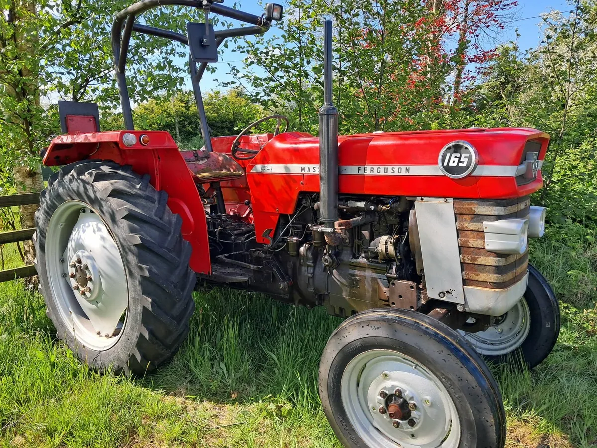 Massey Ferguson 165 - Image 1