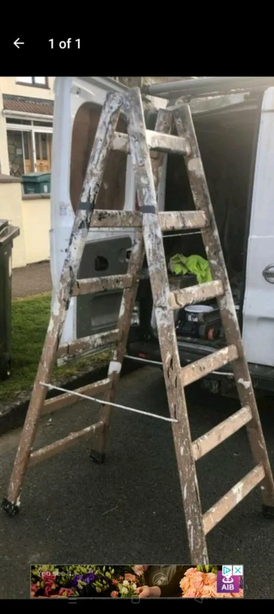 6 rung ladder