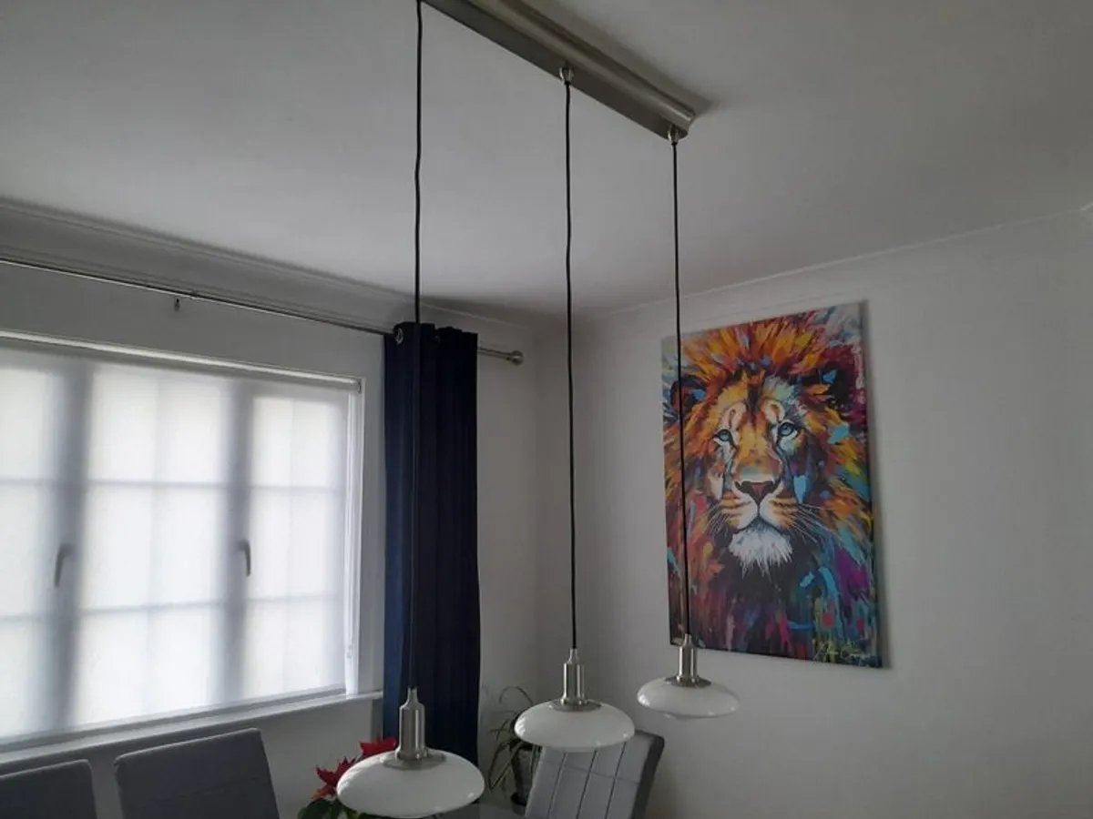 Ceiling lights - Image 4