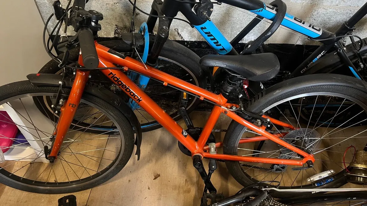 Bike - Image 1