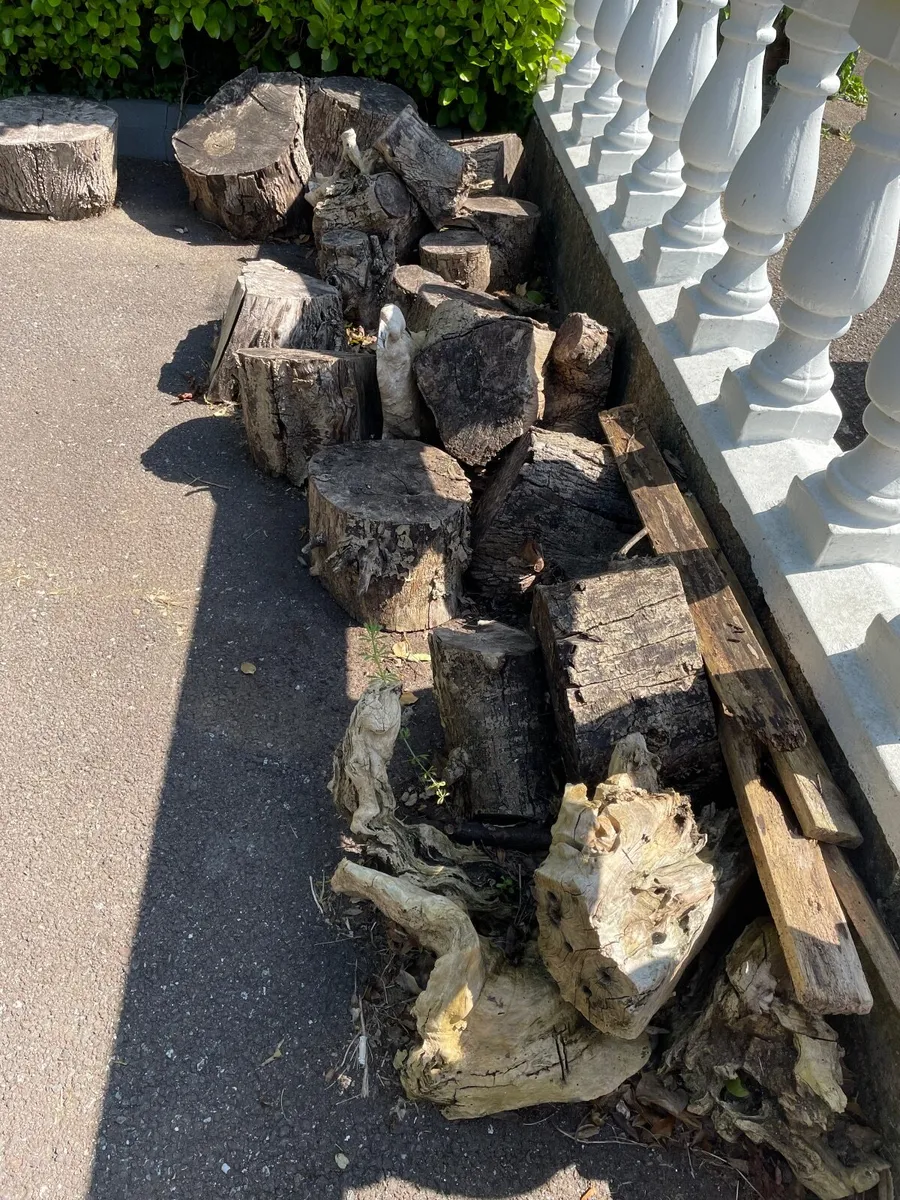 Fire wood