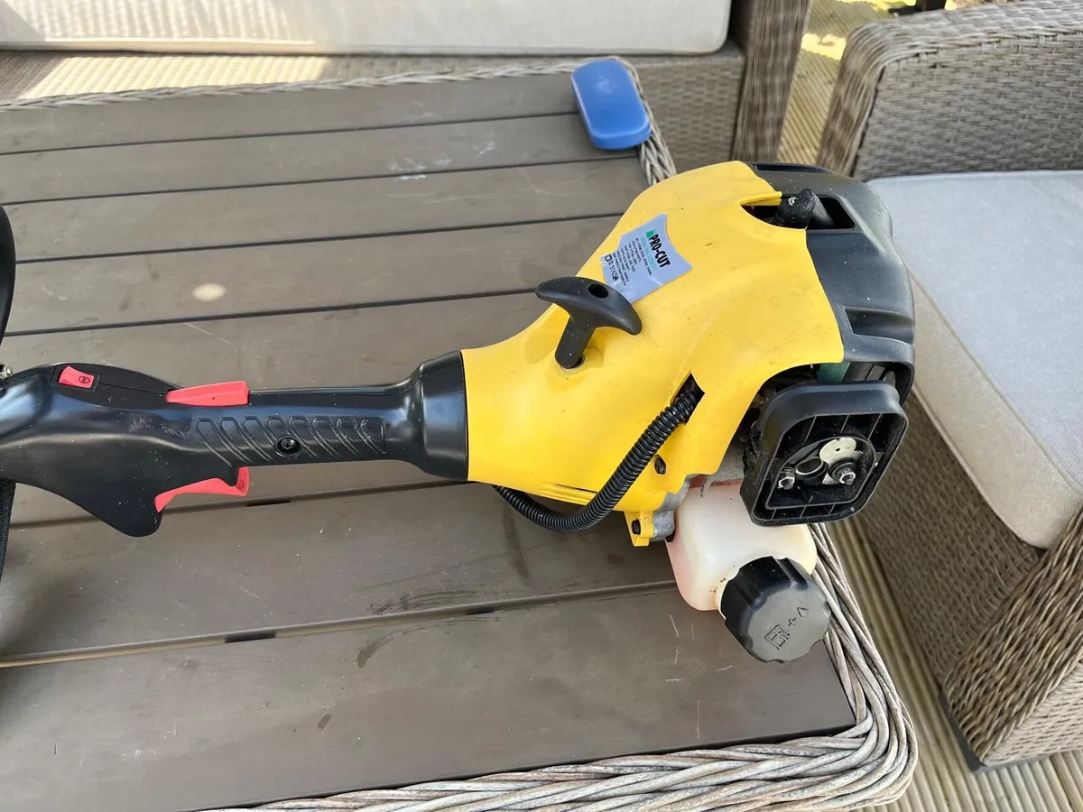 Petrol strimmers - Image 1