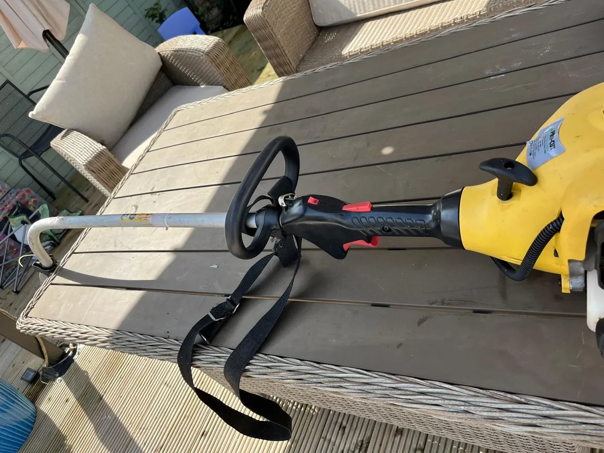 Petrol strimmers - Image 3