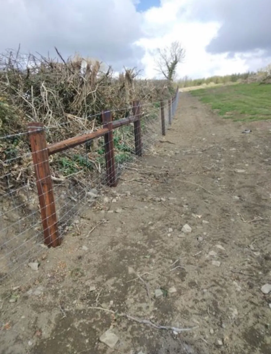 Fencing - Image 2