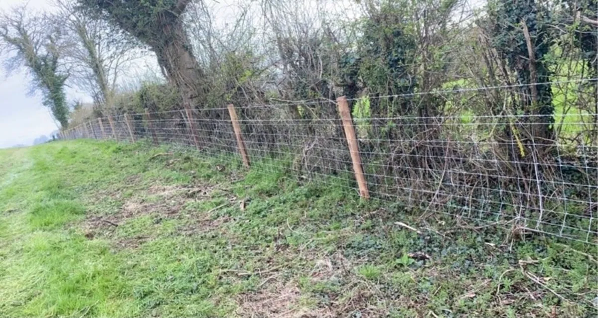 Fencing - Image 3