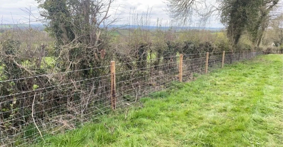 Fencing - Image 4