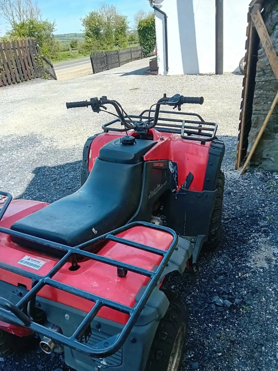 Hensim 250cc farm quad - Image 3
