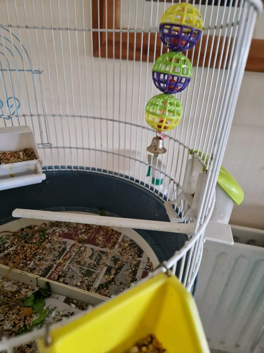 Bird   cage. - Image 3