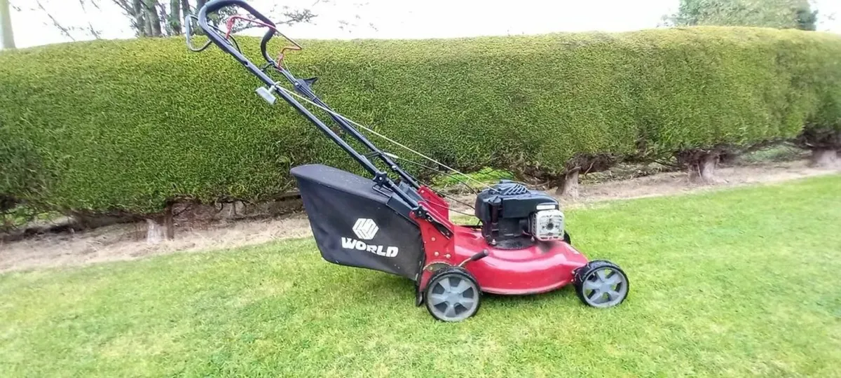 Briggs and Stratton lawnmower - Image 1
