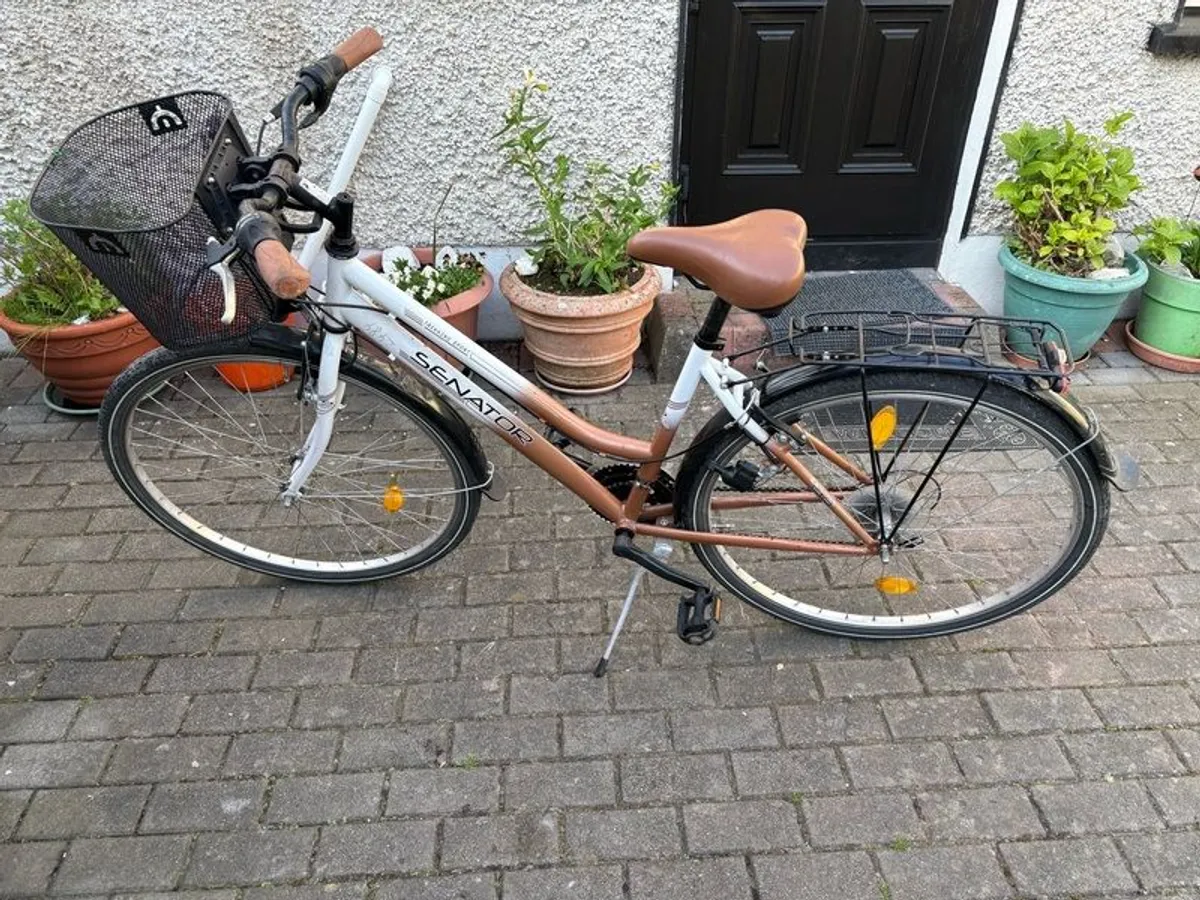 Bicycle - Image 1