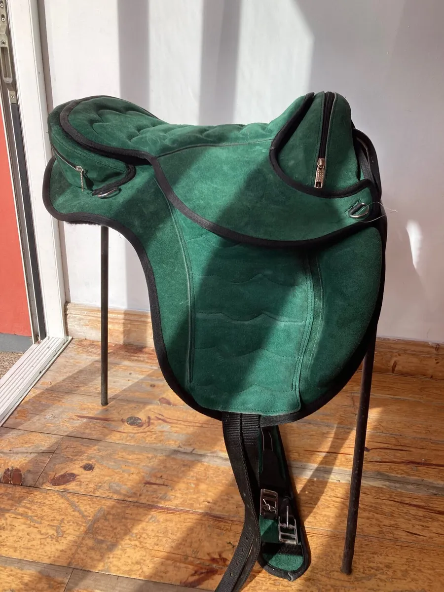 Greys riding 4sale0877445094 - Image 4