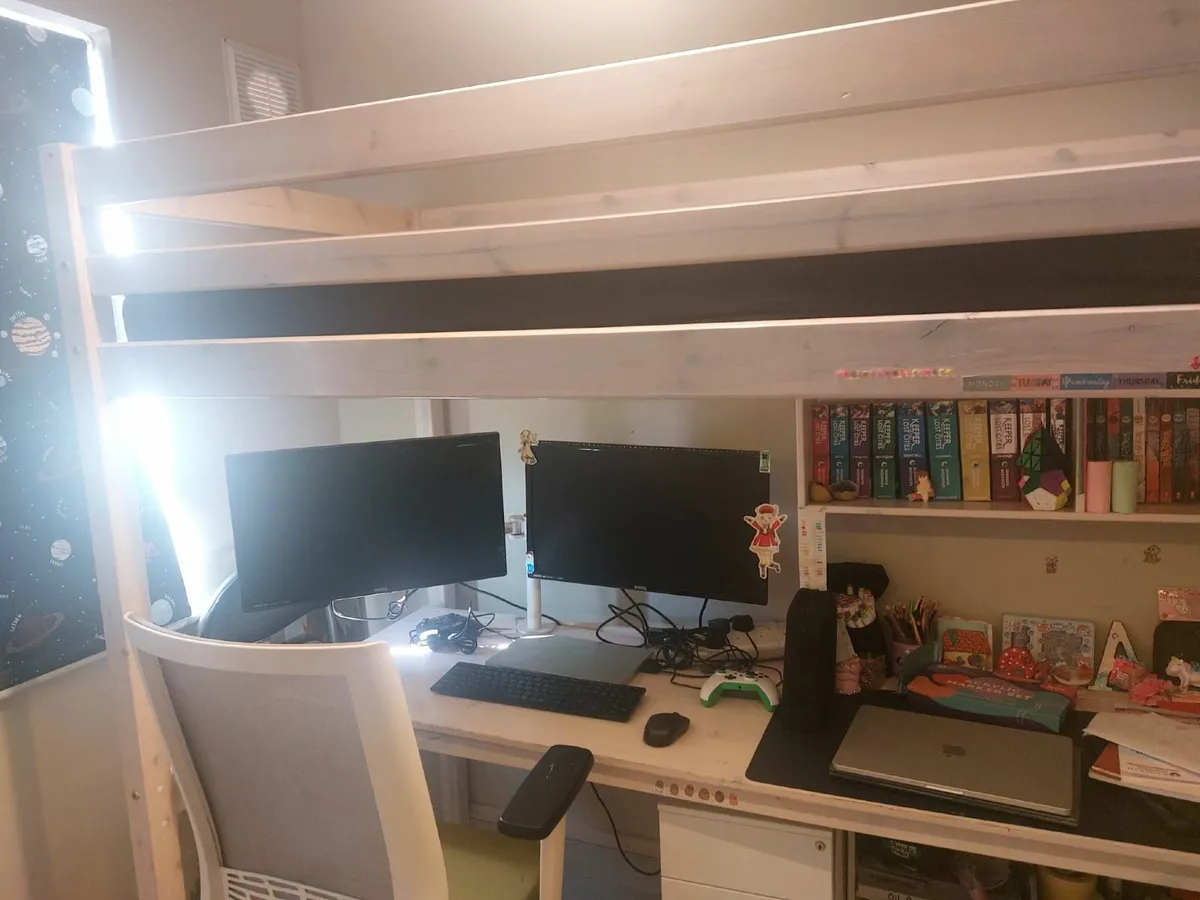 Dual Monitor Arms with BenQ LCD Monitors - Image 2