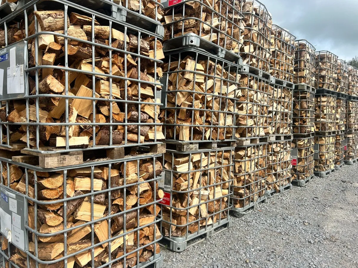 Seasoned Firewood - Image 4