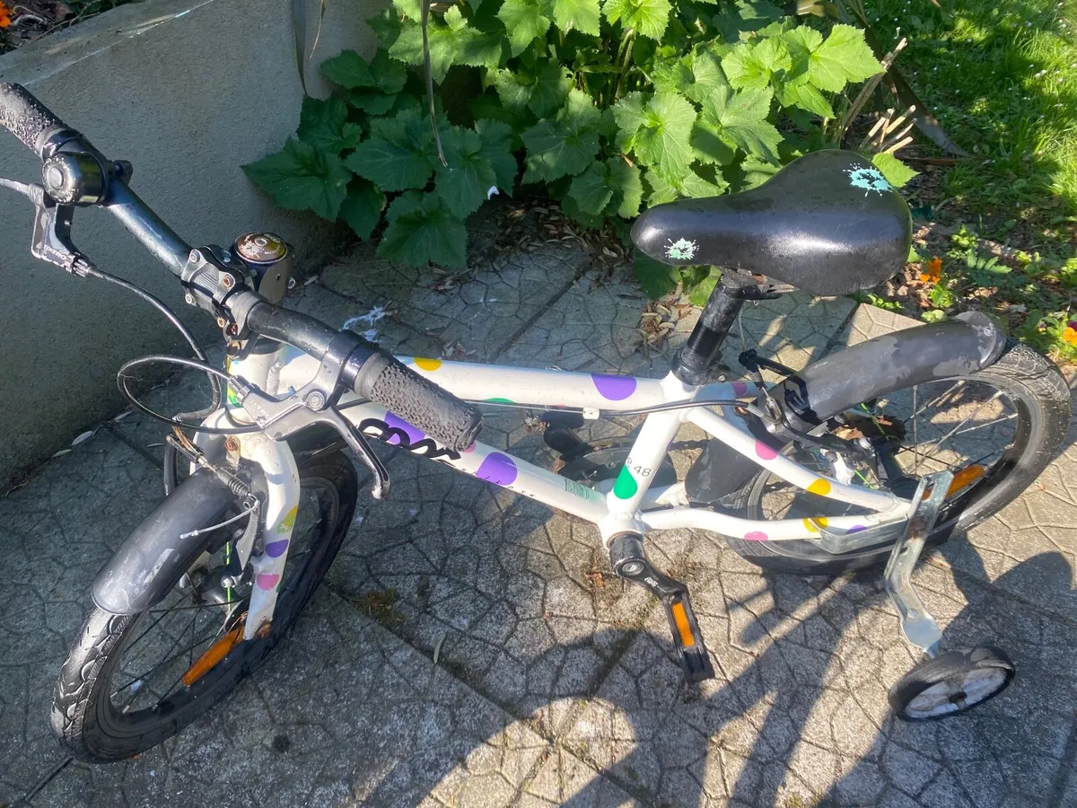 Frog 48 with stabilisers (child 4-5)
