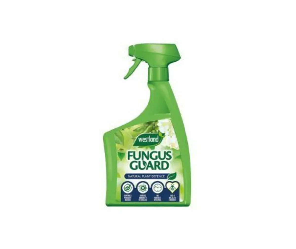 Westland Fungus Guard - Image 2
