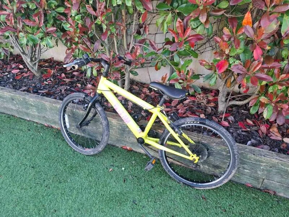 bikes