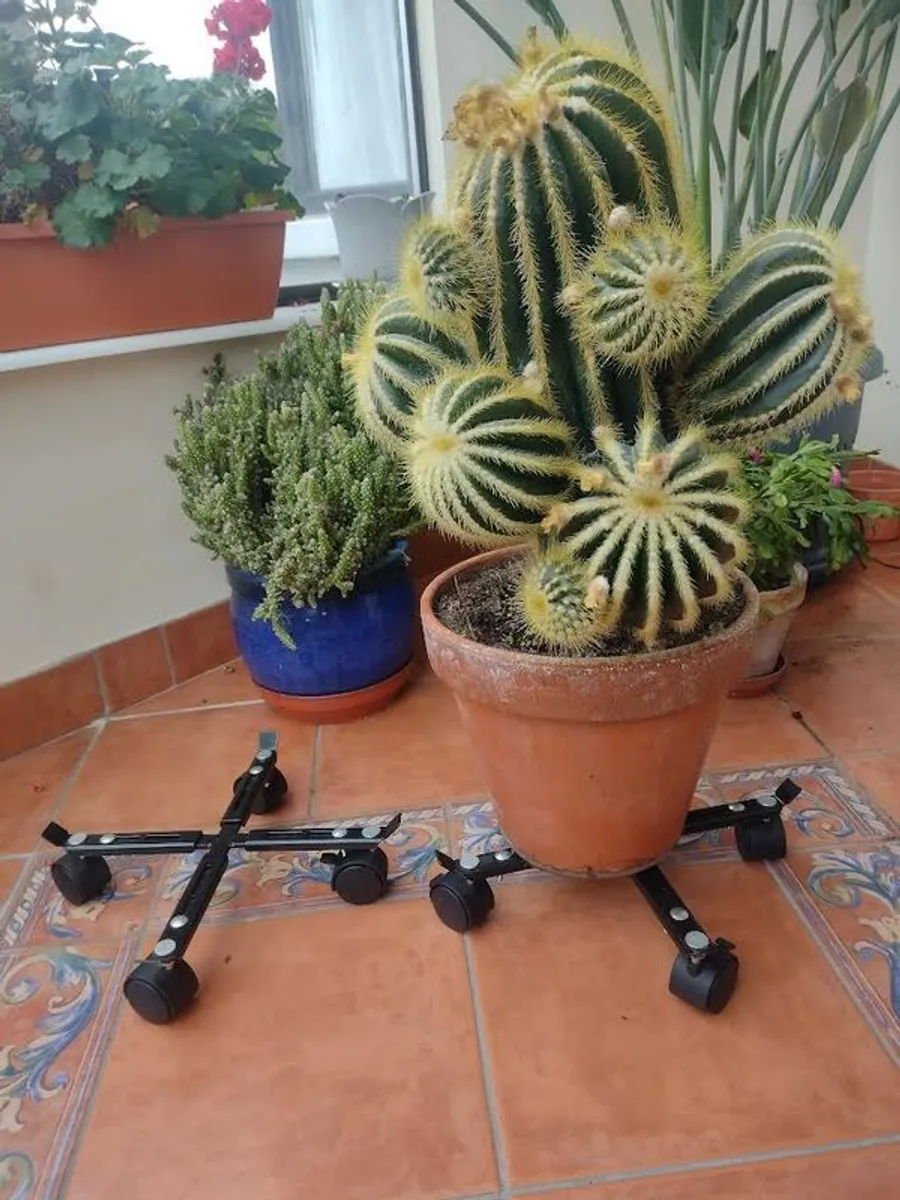 plantpot trolly - Image 1