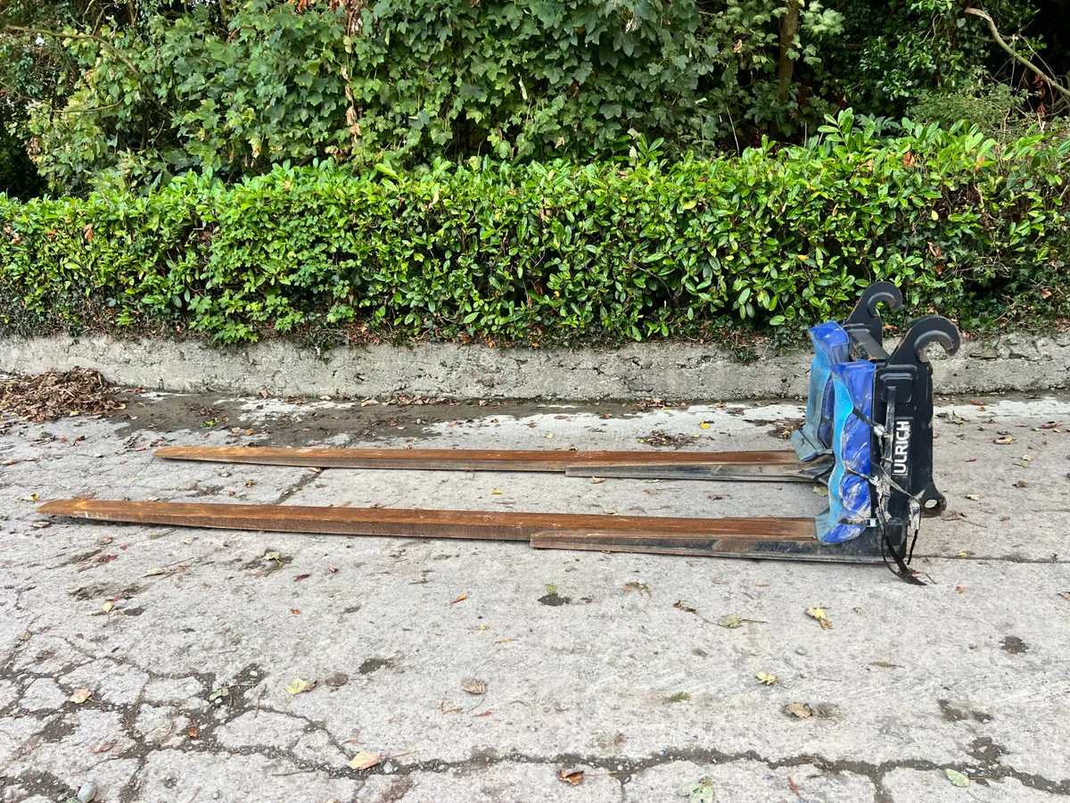Ulrich Extended long forks - Image 2