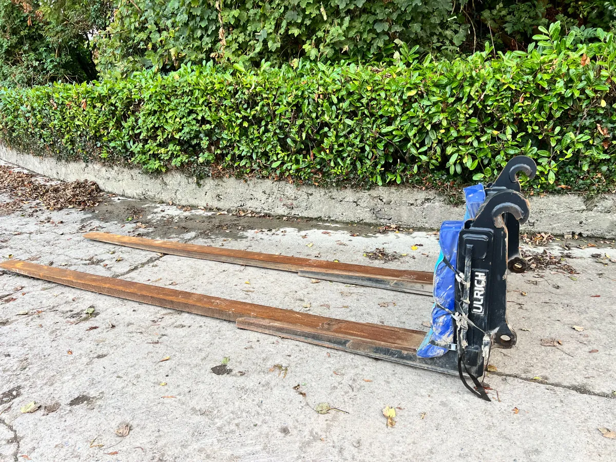 Ulrich Extended long forks - Image 4