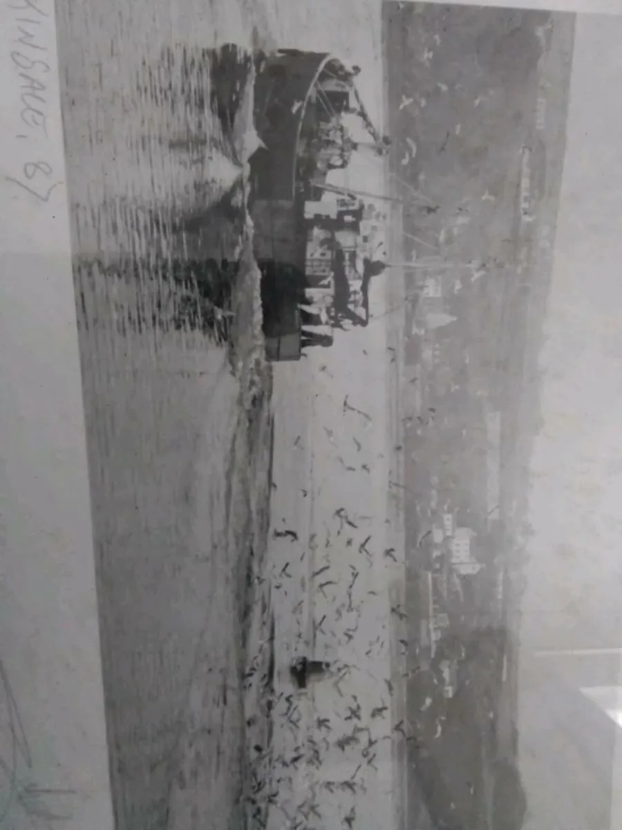 Giles Norman Kinsale 1987 - Image 3