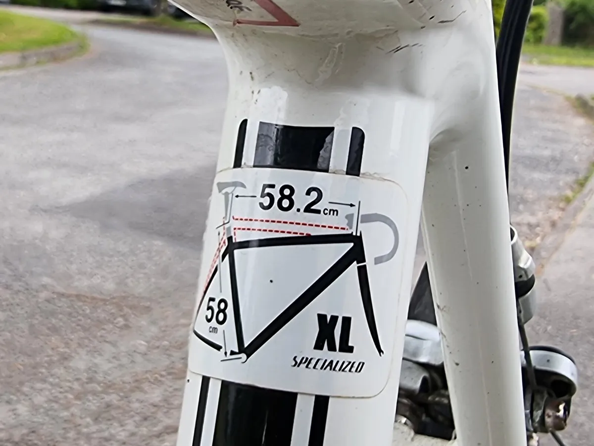 ALLEZ SPECIALISED SPORT - Image 3