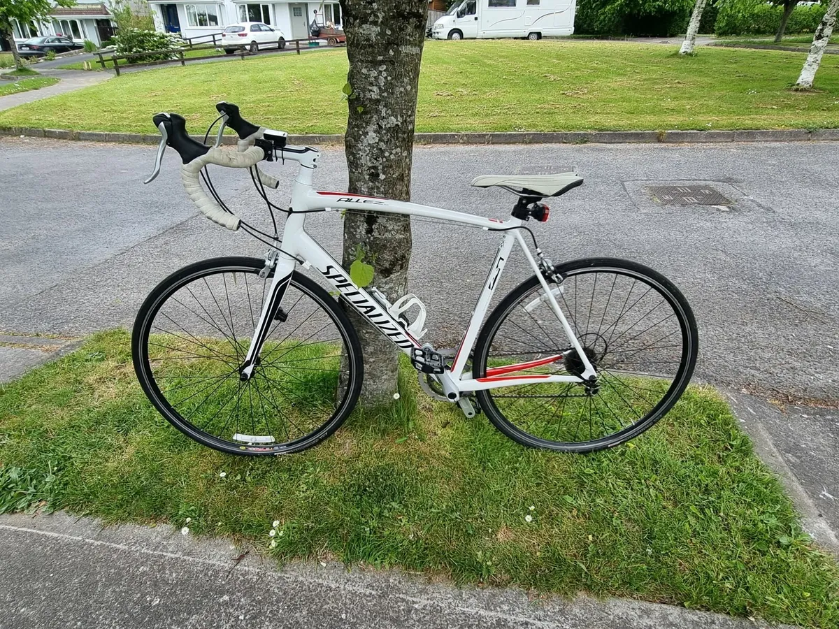 ALLEZ SPECIALISED SPORT - Image 1