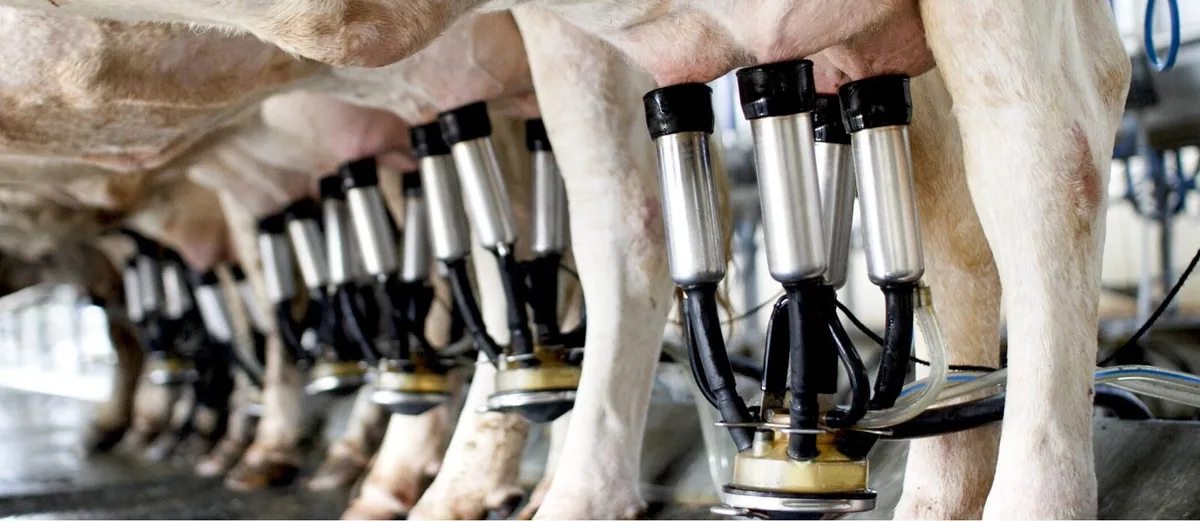 Relief milker available