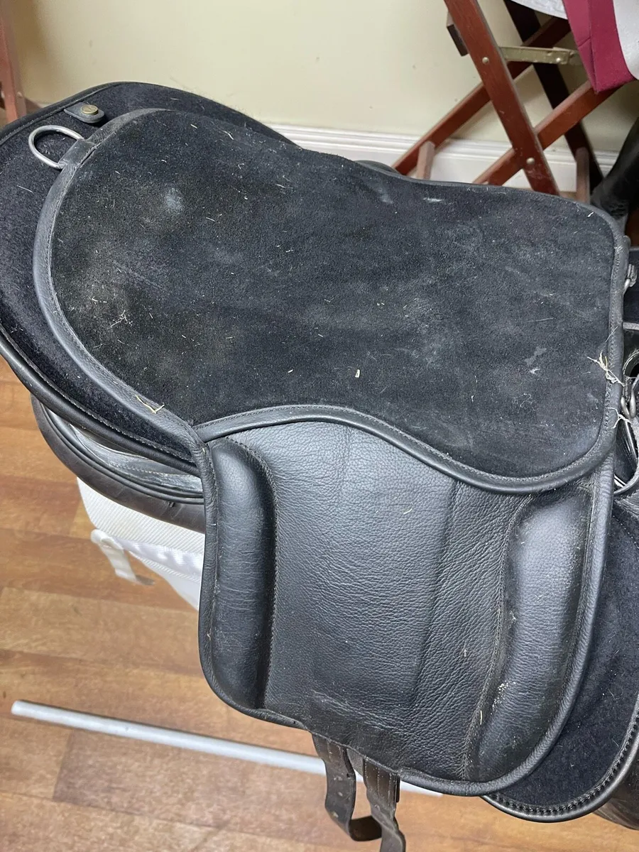 pony saddle &bridle - Image 2