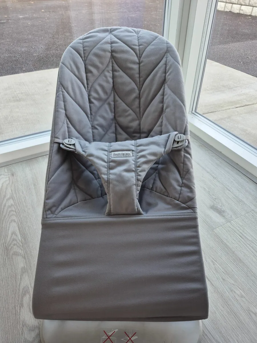 Baby bjorn baby bouncer