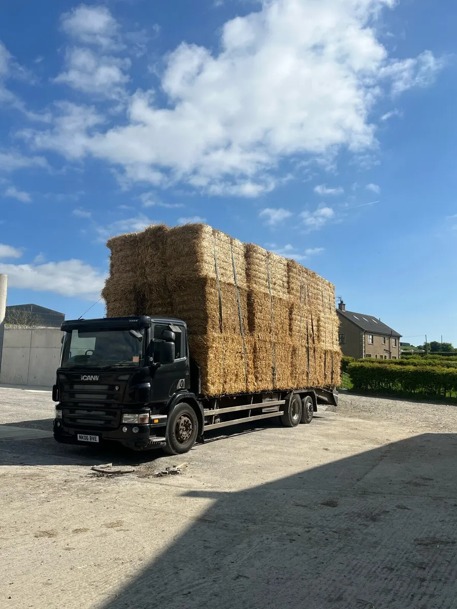 8/4/3 bales of barley straw and wheat. - Image 1