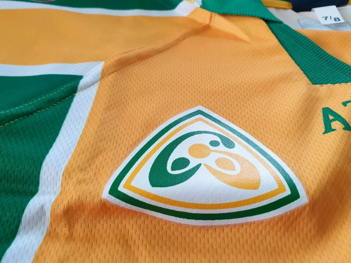 Donegal Gaelic Football Home Jersey 2003 to 2005 - Image 3