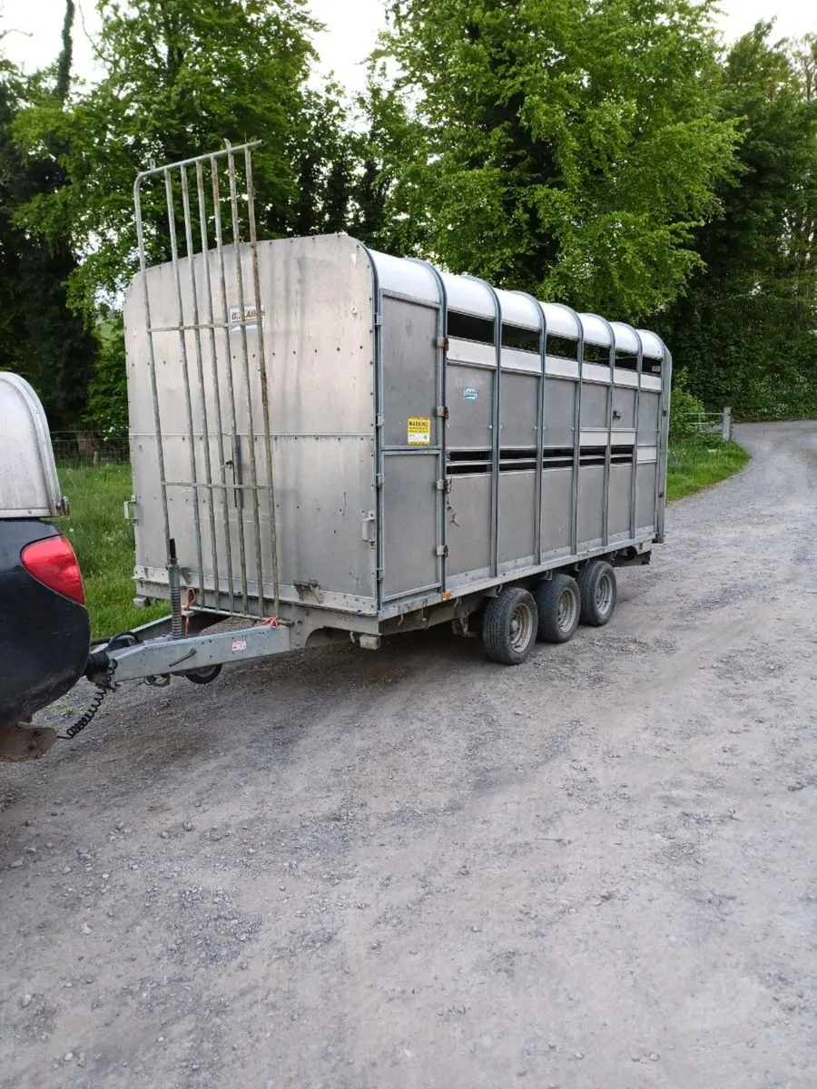 Ifor williams 14ft,  cattle trailer £2650/ €3200 - Image 1